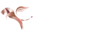 logo blanco